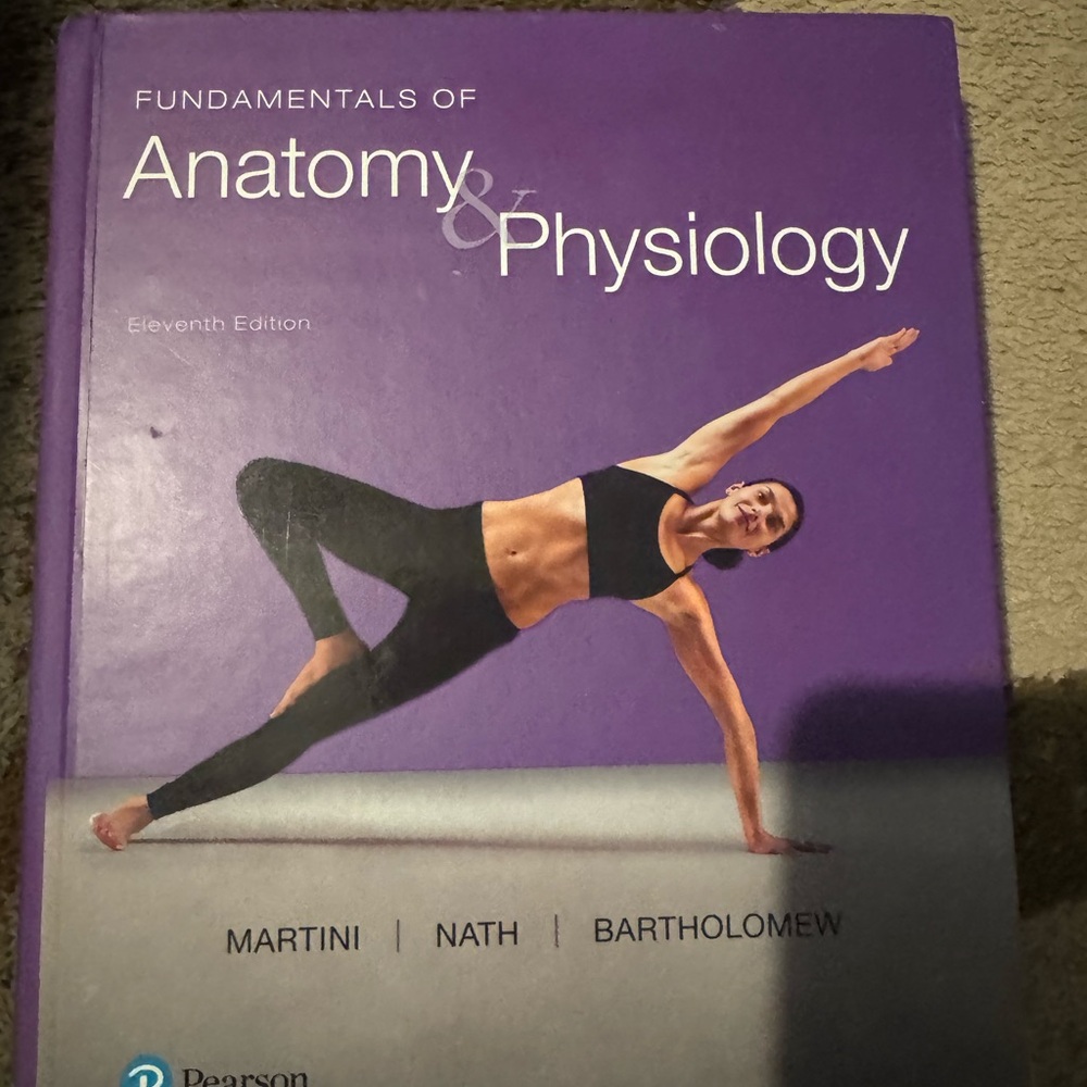 Fundamentals of Anatomy & Physiology
